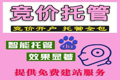百度推广实战：成功企业的营销策略